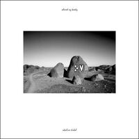 Ahmed Ag Kaedy - Akaline Kidal vinyl cover