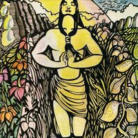 Aina - Lead Me To The Garden vinyl cover