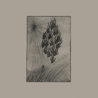 Aine O'dwyer - Locusts vinyl cover