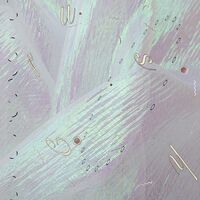 Airhead Dc - Crush Hi vinyl cover