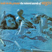 Airto - Seeds On The Ground--The Natural Sounds Of Airto vinyl cover