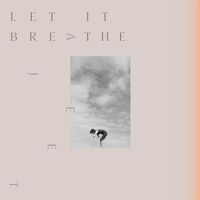 Ajeet - Let It Breathe vinyl cover