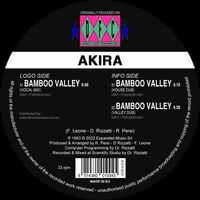 Akira - Bamboo Valley vinyl cover
