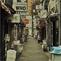 Akira & Chikamorachi & Masahiko Satoh Sakata - Proton Pump vinyl cover