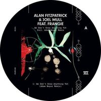 Alan Fitzpatrick / Joel Mull /  Frangie - We Don't Know Anything Yet vinyl cover