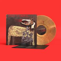 Alan Sparhawk - With Trampled By Turtles (Sunflare) vinyl cover