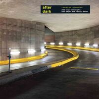 Alan Vega - After Dark vinyl cover