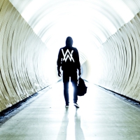 Alan Walker - Faded vinyl cover