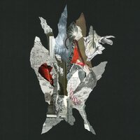 Alas De Liona - Gravity Of Gold vinyl cover