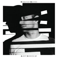 Albert Hammond Jr. - Momentary Masters vinyl cover