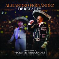 Alejandro Fern?ndez - De Rey A Rey vinyl cover