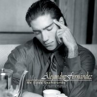 Alejandro Fernández - Me Estoy Enamorando vinyl cover