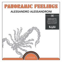 Alessandro Alessandroni - Panoramic Feelings vinyl cover