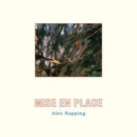 Alex Napping - Mise En Place vinyl cover