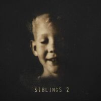 Alex Somers - Siblings 2 vinyl cover