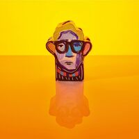 Alexis Taylor - Beautiful Thing vinyl cover