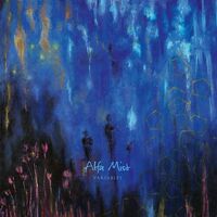 Alfa Mist - Variables vinyl cover