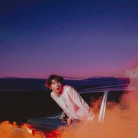 Alfie Templeman - Forever Isn't Long Enough vinyl cover