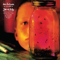 Alice in Chains - Jar Of Flies vinyl cover