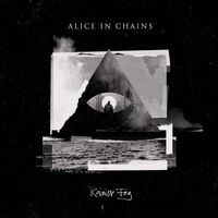 Alice In Chains - Rainier Fog vinyl cover