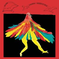 Alice - L'oiseau Magnifique vinyl cover