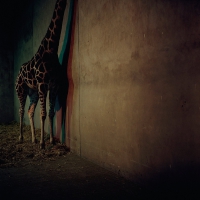 Alien Ensemble - Alien Ensemble 2 vinyl cover