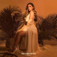 Alina Baraz - The Color Of You vinyl cover