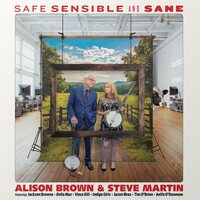Alison Brown & Steve Martin - Safe, Sensible And Sane vinyl cover