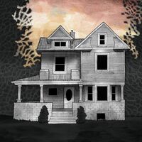 Alison Chesley / Steve Albini / Tim Midyett - Girl On The Third Floor vinyl cover