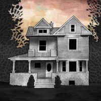 Alison Chesley / Steve Albini / Tim Midyett - Girl On The Third Floor vinyl cover