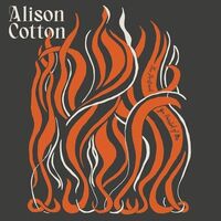 Alison Cotton - Portrait You Painted Of Me vinyl cover