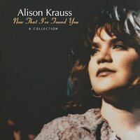 Alison Krauss - Now That I've Found You: A Collection vinyl cover
