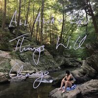 All Away Lou - Things Will Change vinyl cover
