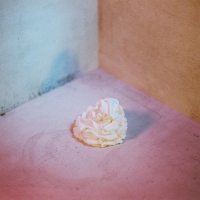 All Boy/all Girl - Slagroom vinyl cover
