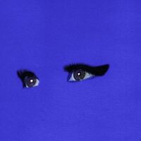 Allan Rayman - Harry Hard-On vinyl cover