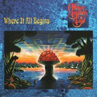 Allman Brothers Band - Where It All Begins Translucent Blue & Black Swirl Poster vinyl cover