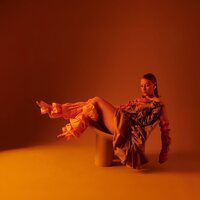 Allysha Joy - The Making Of Silk vinyl cover