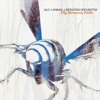ALO (Animal Liberation Orchestra) - Fly Between Falls vinyl cover