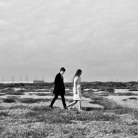 Alpines - Another River vinyl cover