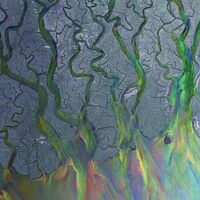 Alt-J - Awesome Wave vinyl cover