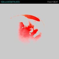 Aluminum - Fully Beat vinyl cover