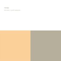 Alva.noto - Revep vinyl cover