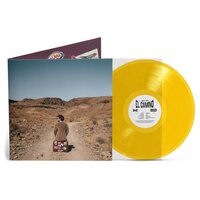 Alvaro Soler - El Camino vinyl cover
