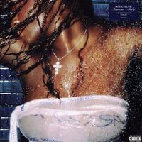 Amaarae - Fountain Baby (Silver) vinyl cover