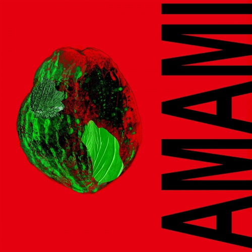 Amami - Soleil vinyl cover