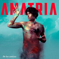 Amatria - De Las Cenizas vinyl cover