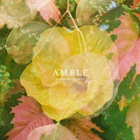 Amble - Hand Me Downs vinyl cover