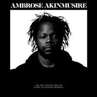 Ambrose Akinmusire - On The Tender Spot Of Every Calloused Moment vinyl cover