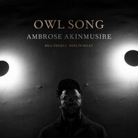 Ambrose Akinmusire - Owl Song vinyl cover