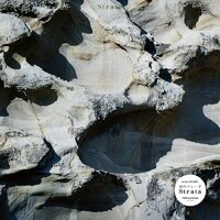 Ame No Parade - Strata vinyl cover